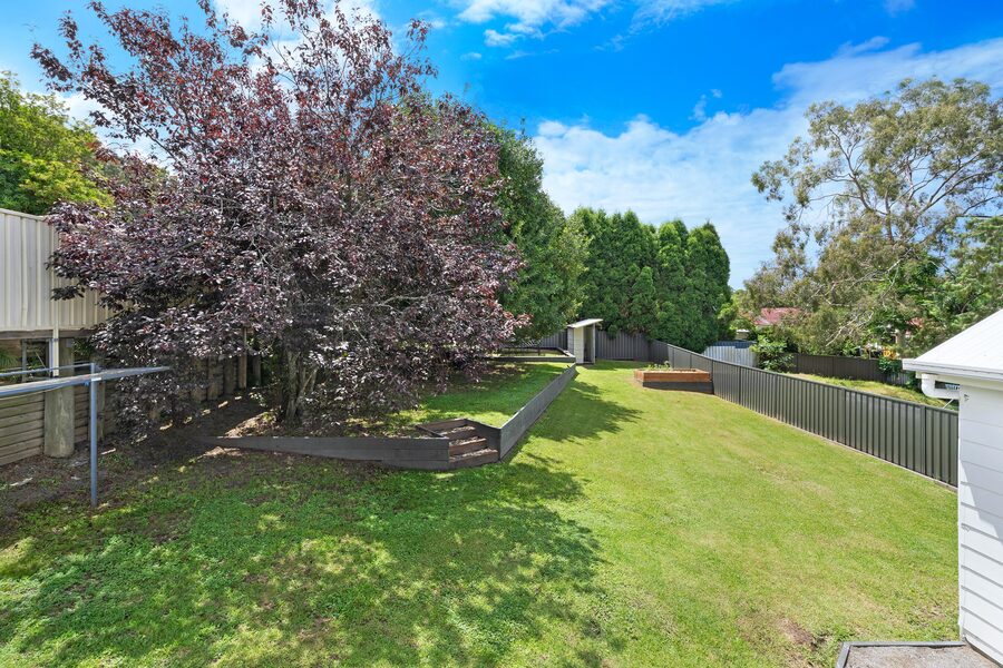 Backyard lawn, fence line and landscaping
